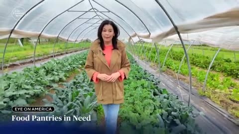 USDA cuts leave food aid groups and farmers struggling