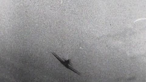 RAF Spitfires through the lens of Luftwaffe Bf 109 gun cameras in 1941