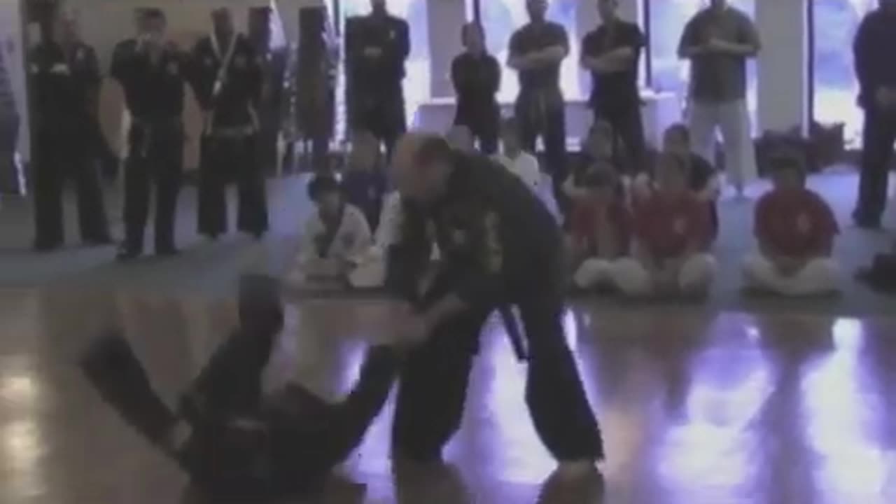 Hapkido
