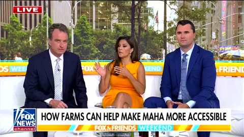 'Allow children to do it': Fox News host calls to replace immigrants with child labor