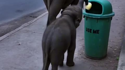 Can't believe this little one is more concerned than humans