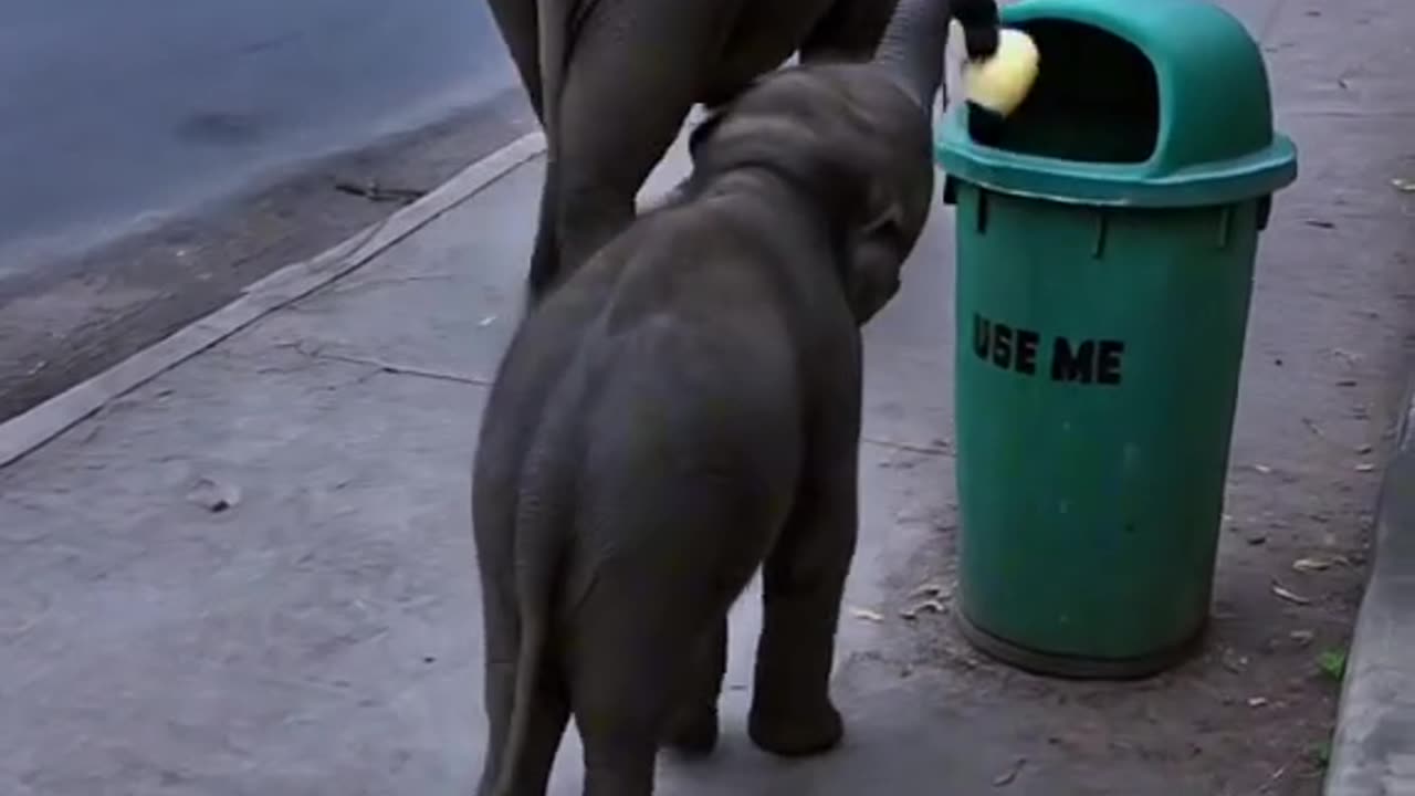 Can't believe this little one is more concerned than humans