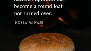 Morning Devotional - Half-Baked Commitments - Hosea 7.8