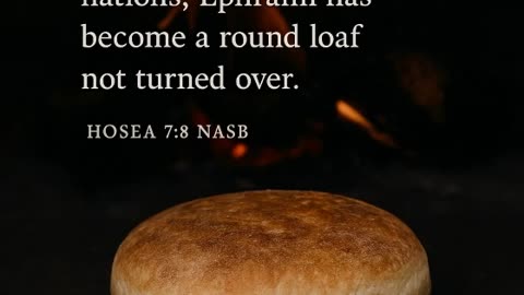 Morning Devotional - Half-Baked Commitments - Hosea 7.8