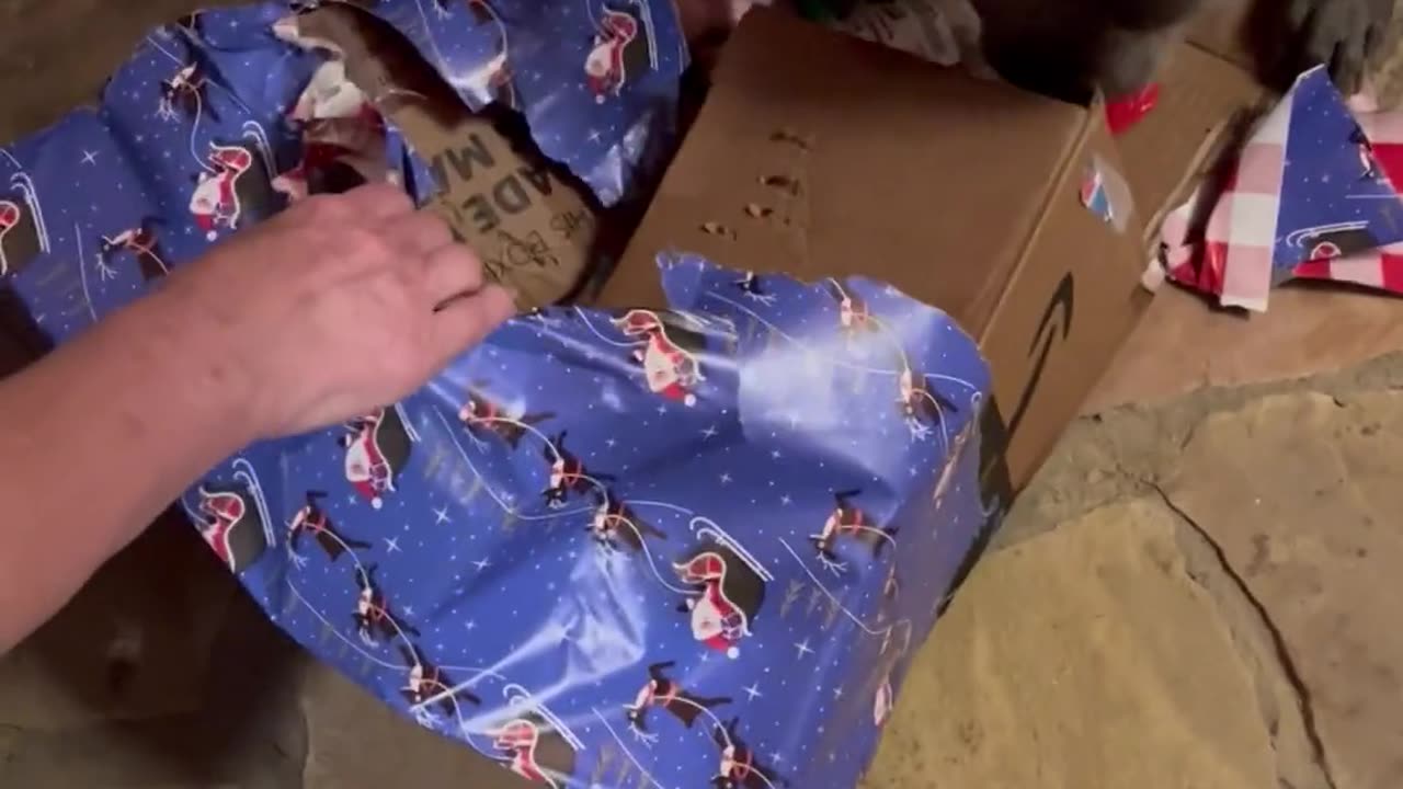 Merry Christmas For Pitbull In Pajama
