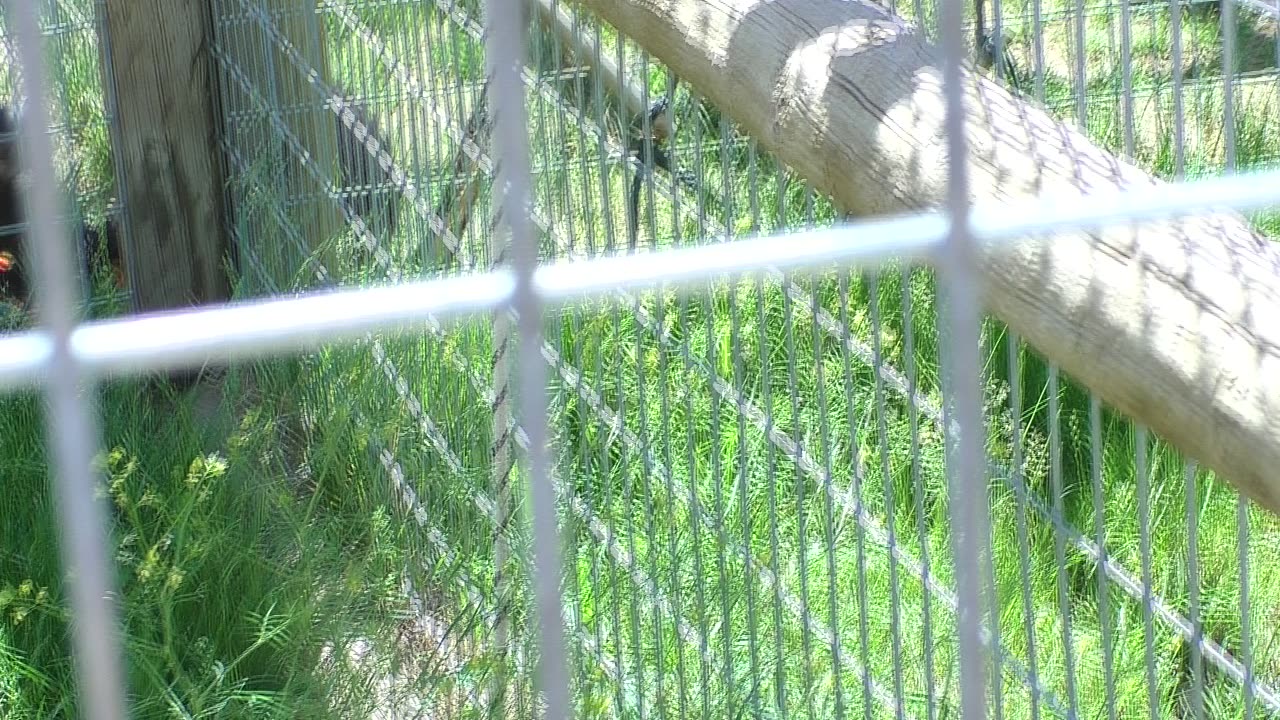 Minnie chatting with Cindy