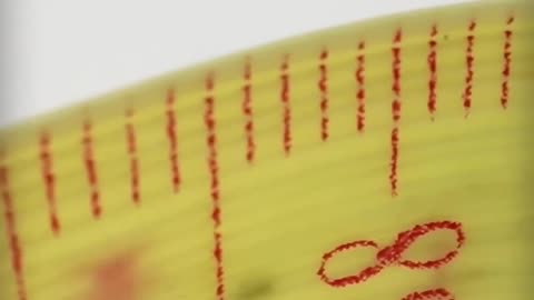 Before the Tape Measure, People Used THIS.