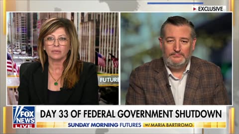 Ted Cruz Predicts Schumer Shutdown Will End After Election Day