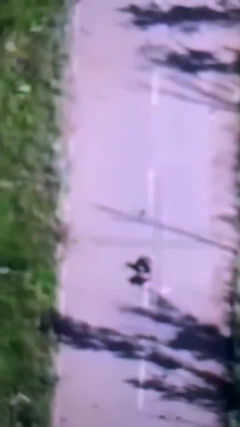 Russian Attack on Elderly Woman Near Kupyansk