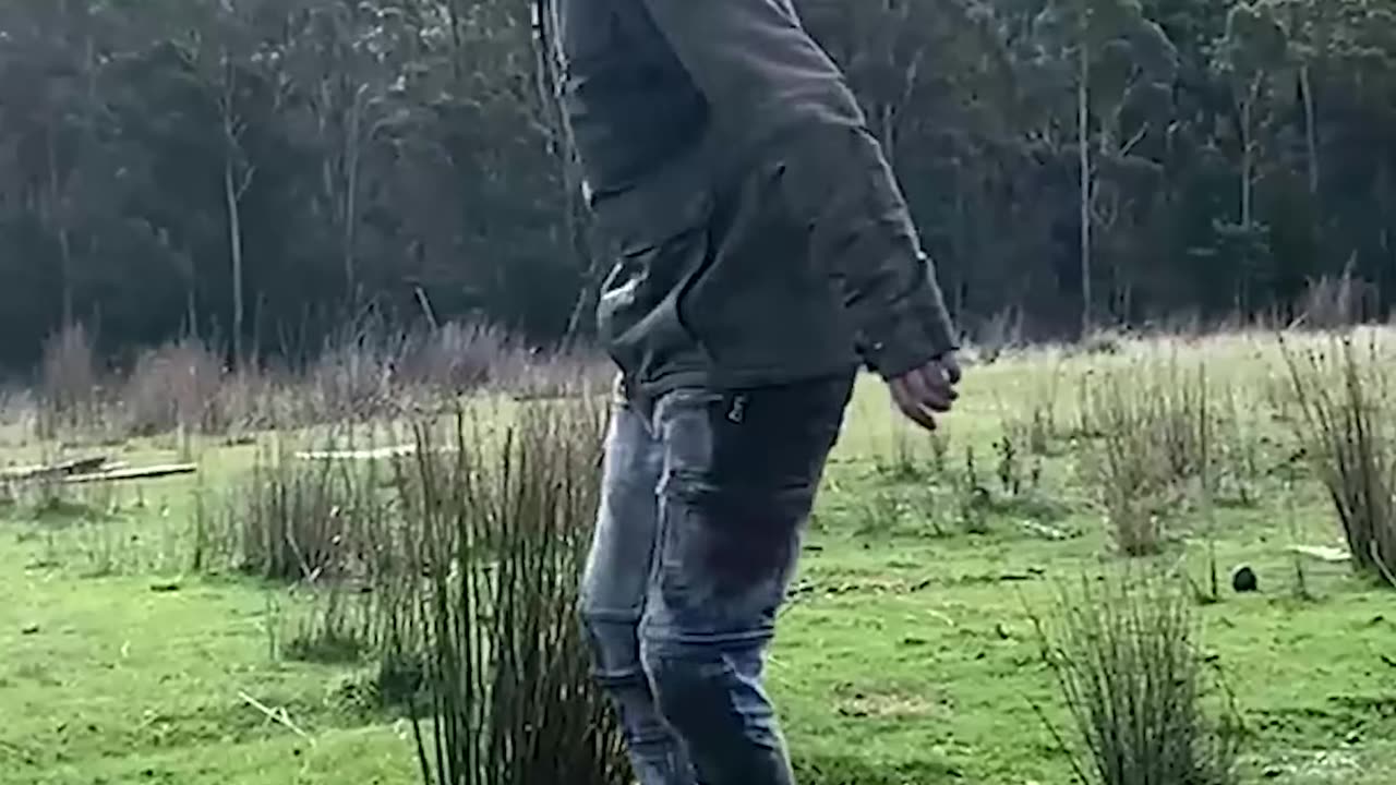 Real vs AI