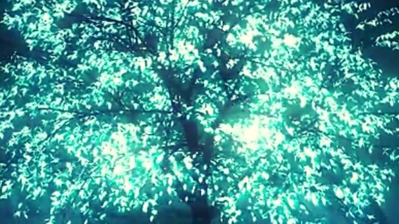 Time to get a restful sleep | Sleep Music ★