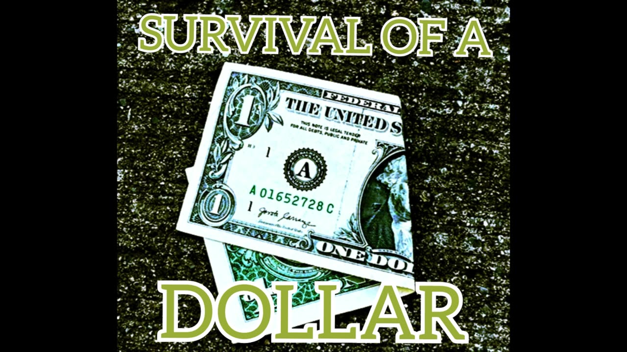 SURVIVAL OF A DOLLAR TYPE BEAT