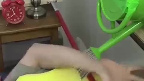 Must Watch: since i started using this new alarm clock my life has only gotten b