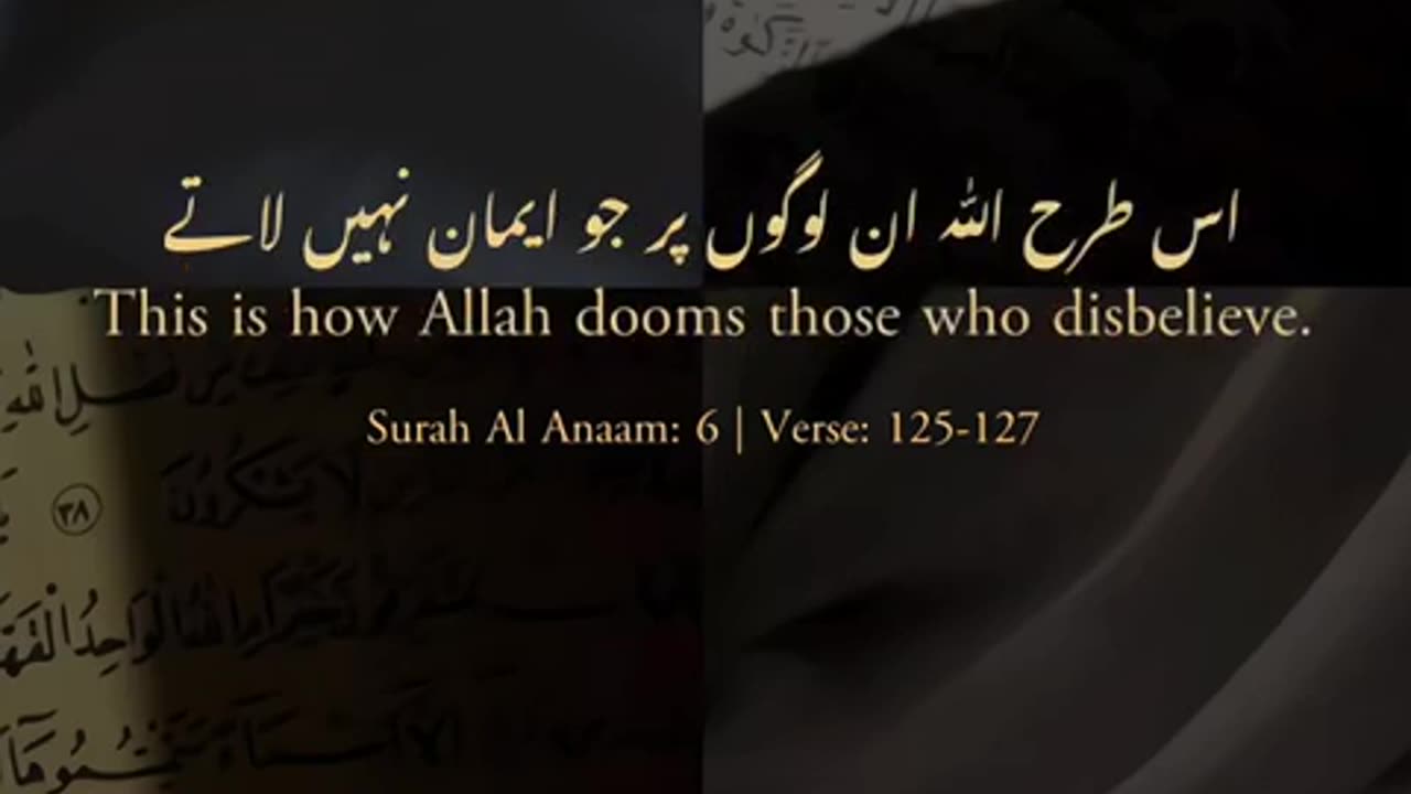 Surah Al-Anaam (125-127): Divine Guidance for the Open Heart 🌟📖 | Quranic Wisdom Explained