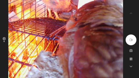 The Chicken Rises