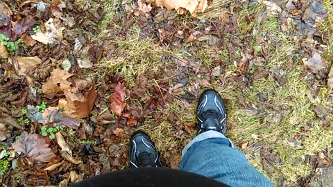 Taking a Walk with Cleats - Date: 1/20/2017