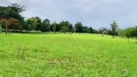 🎯🌄 Myanmar War | Clashes Between Junta and Kachin Rebels Near Golf Course | RCF