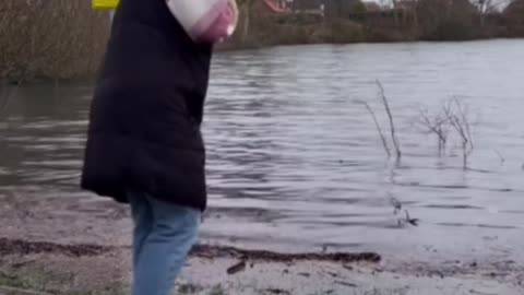 funnyvideosdaily