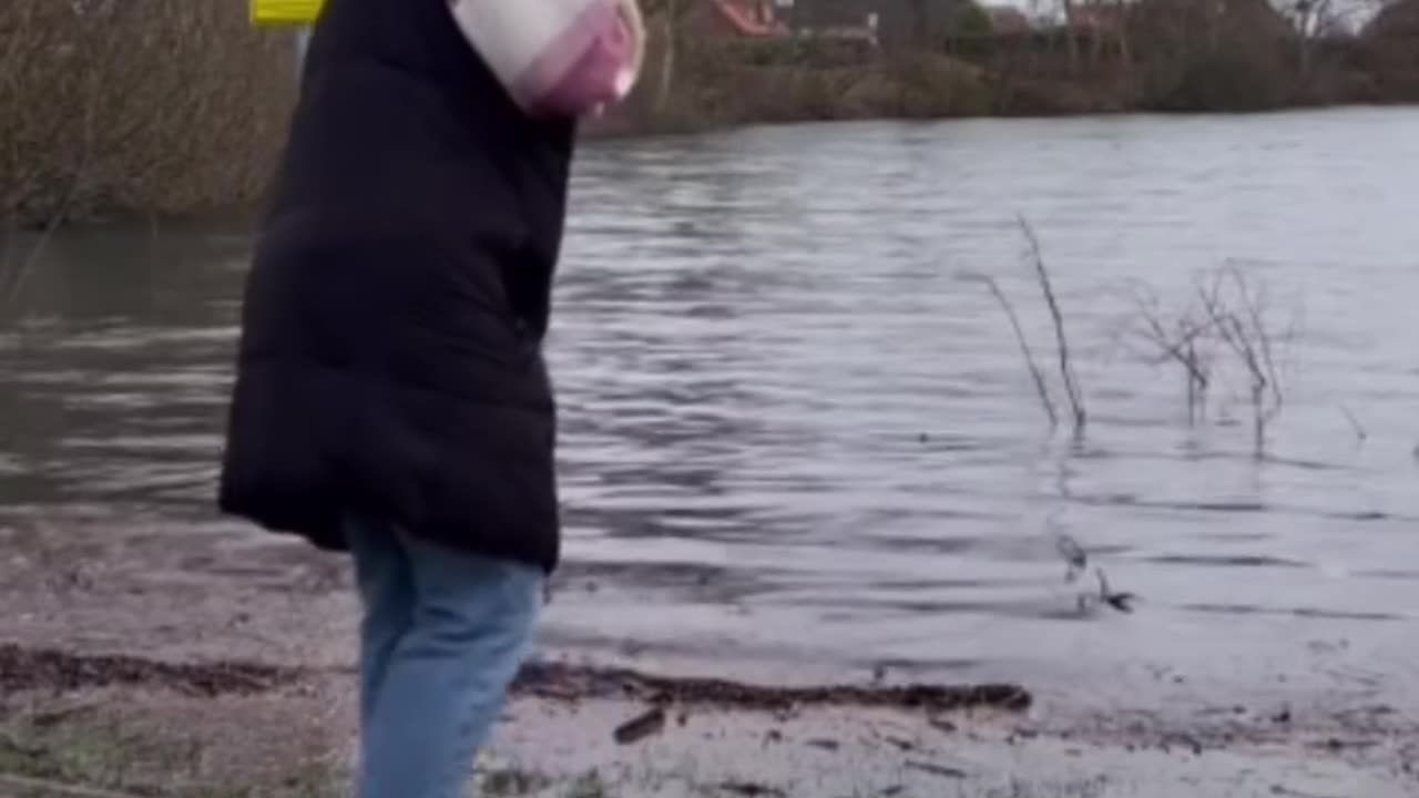 funnyvideosdaily