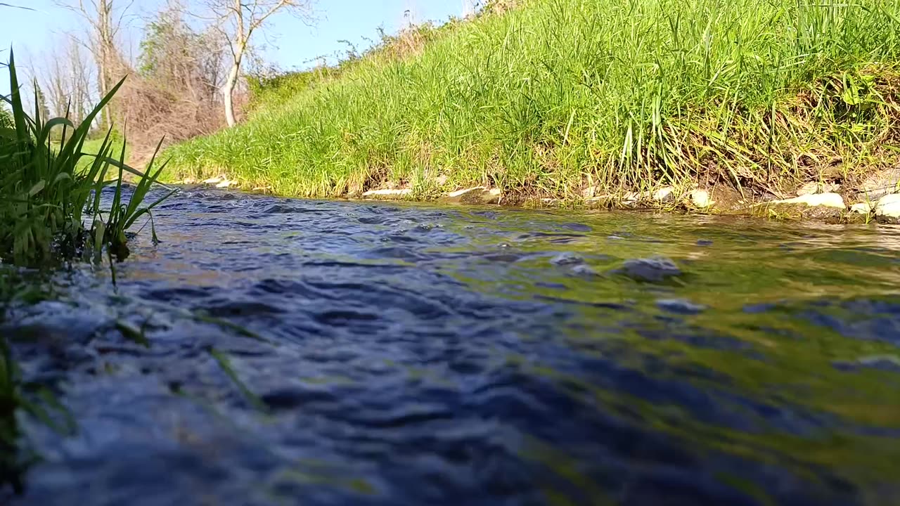 beautiful stream