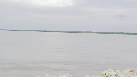 Dariya-e-Sindh #maxrecords #larkana #sindh #pakistan #villagelife #nature #village #sindhi