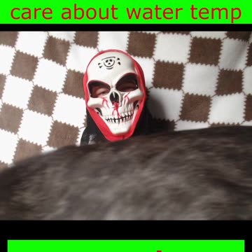 Room temp water + adult milk = certified psycho