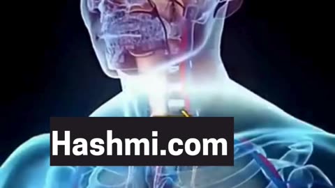 बॉडी बनाने का ये रामबाण उपाय भूल से भी ट्राई मत करना।••Follow me 👉#viral #like #follow #trending