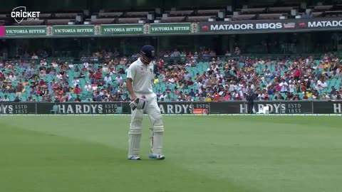 Every boundary, every milestone: Kohli's huge 2014-15 BGT