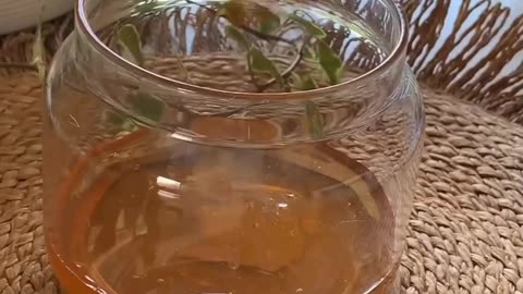 Honey, ginger, and turmeric