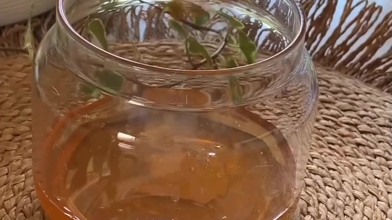 Honey, ginger, and turmeric