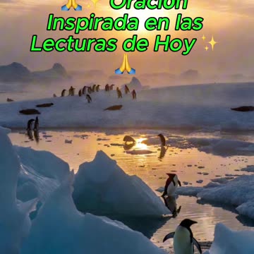 🙏✨ Oración Inspirada en las Lecturas de Hoy ✨🙏