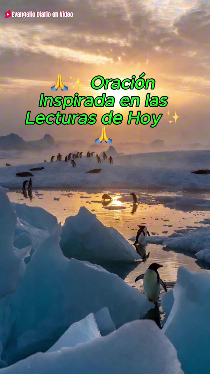 🙏✨ Oración Inspirada en las Lecturas de Hoy ✨🙏