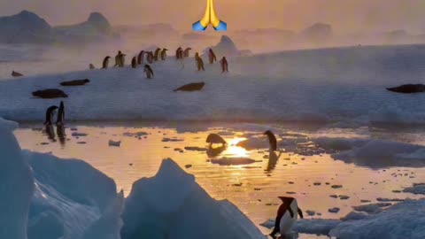 🙏✨ Oración Inspirada en las Lecturas de Hoy ✨🙏