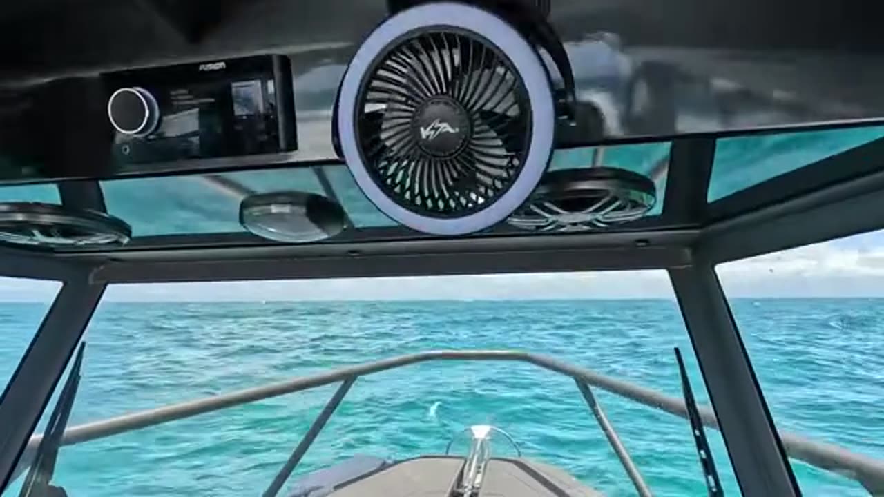 Fishing Our Local Reef with Natural Burley Non-Stop Action! (4)