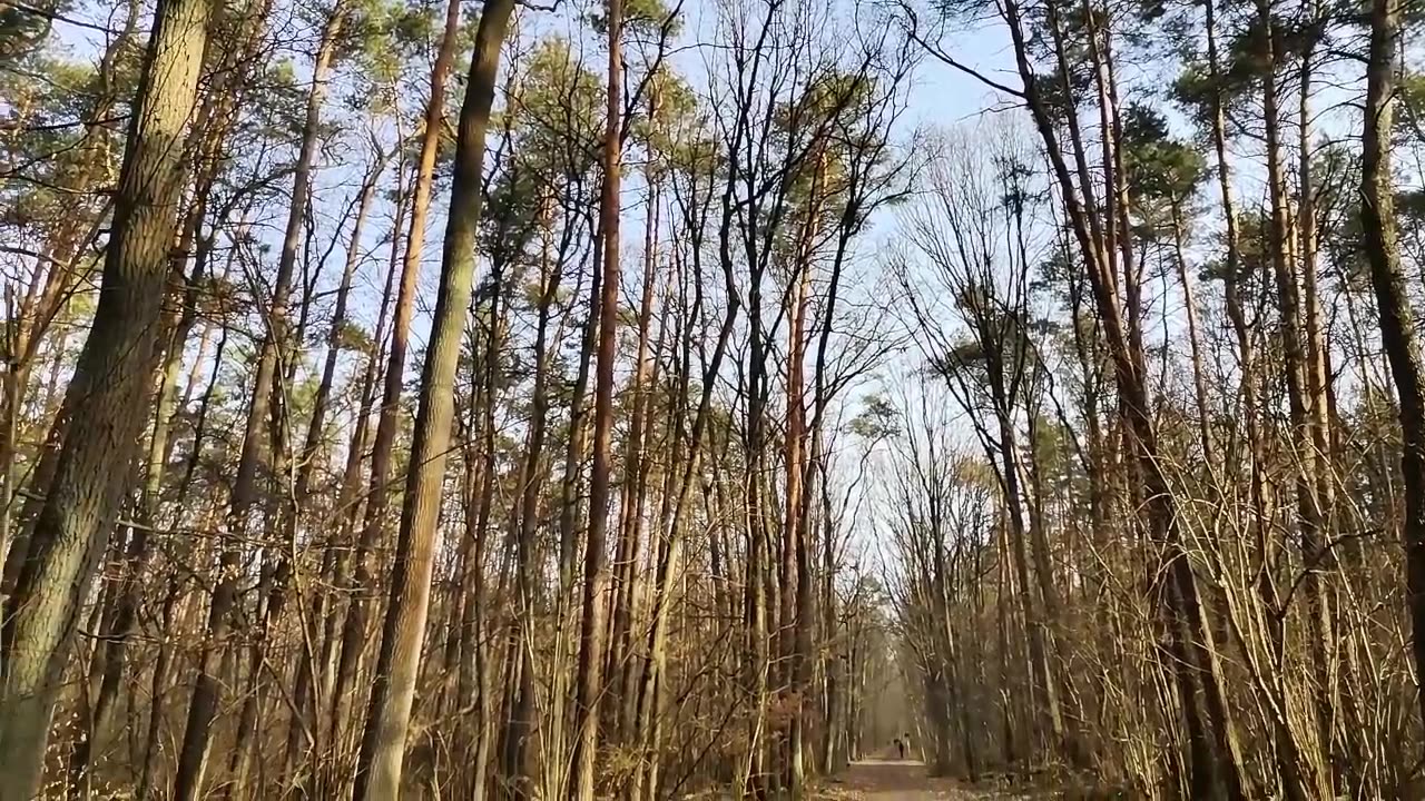 przynaje się ...
