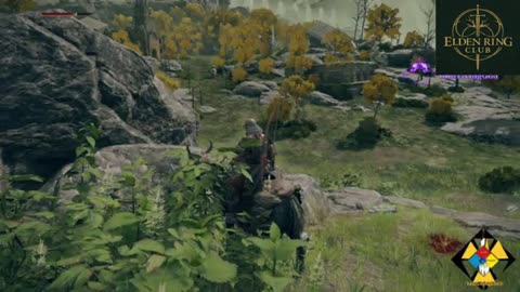 Thinking near a rock in the game Elden Ring