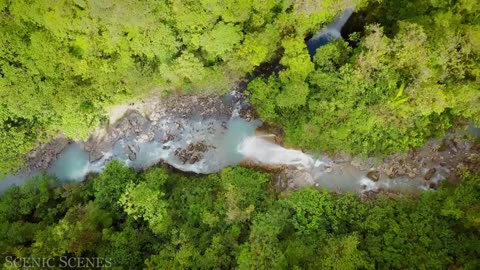 Amazon 4k - The World’s Largest Tropical Rainforest Part 2 | Jungle Sounds | Scenic Relaxation Film