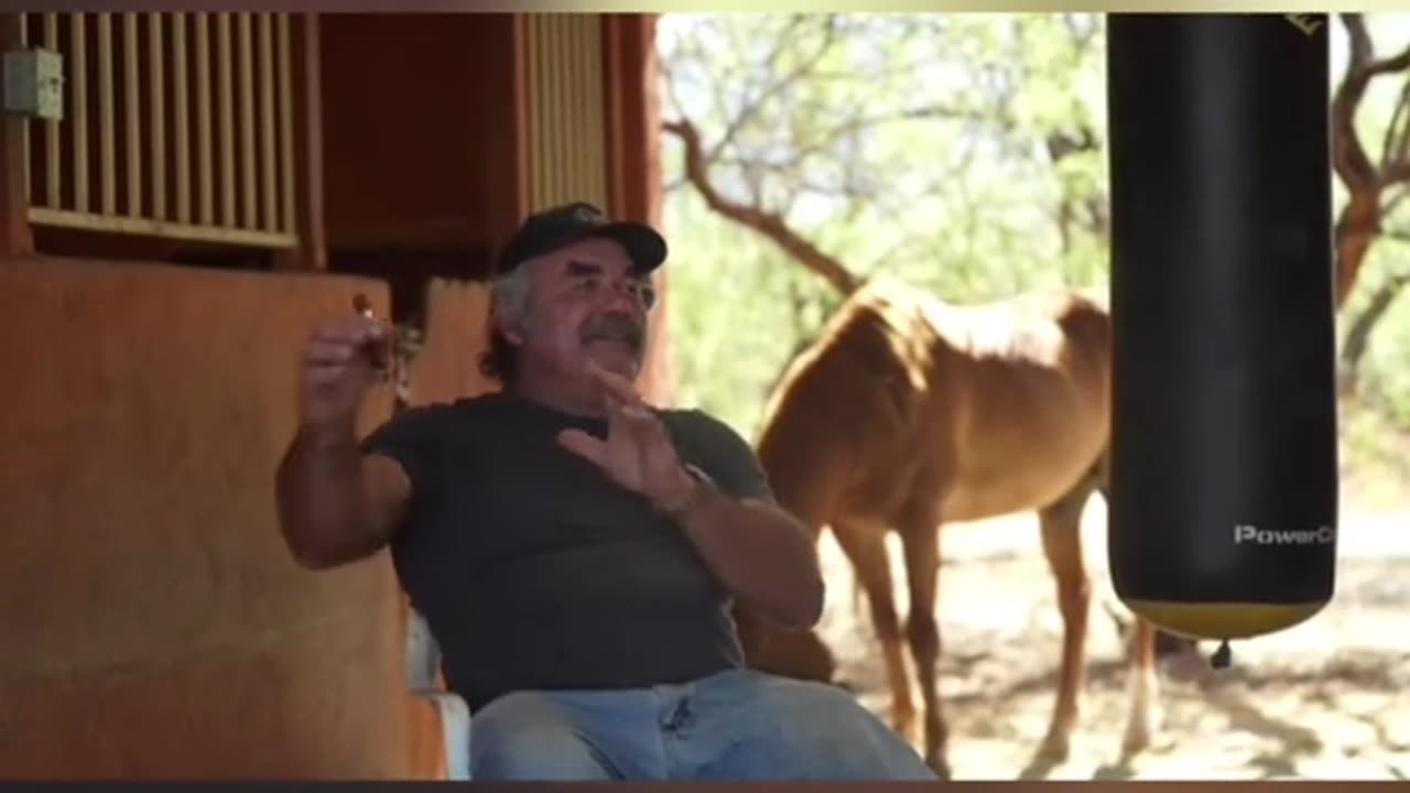 Don Frye on modern man.