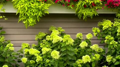 Plant love