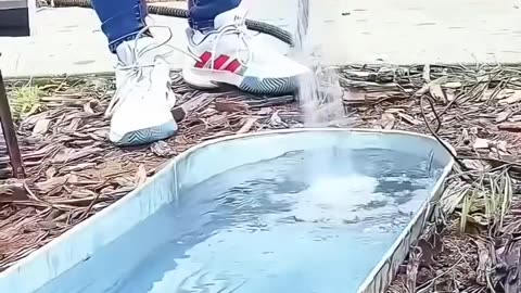 A family noticed wild animals frequently stopped by their garden fountain to drink water ❤️😊