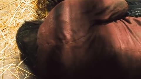 Rise of the planet of the apes