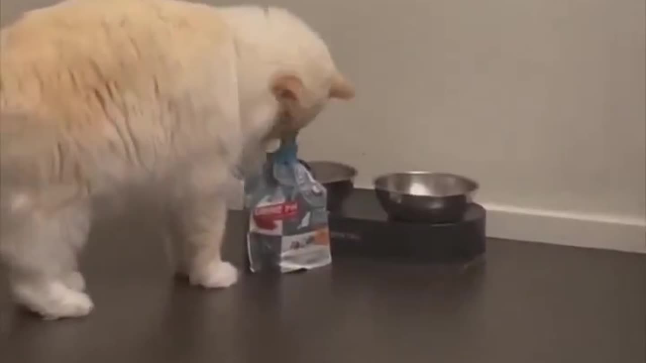Feed me.. 😂