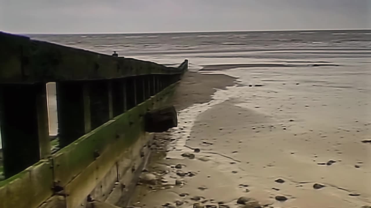 The The - This Is the Day