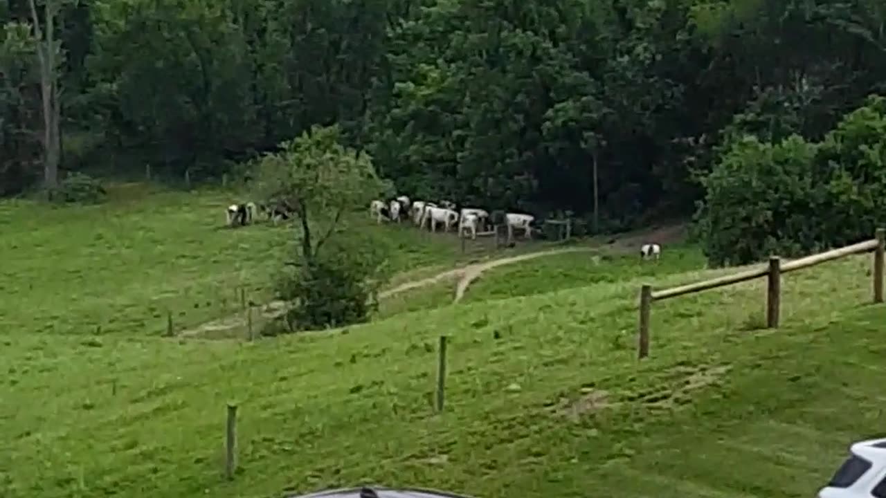 Amish country road vids