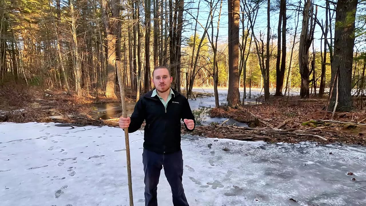 Weak to Warrior Sleep Solutions Ad