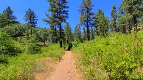 Hiking Mount Laguna - Agua Dulce 2