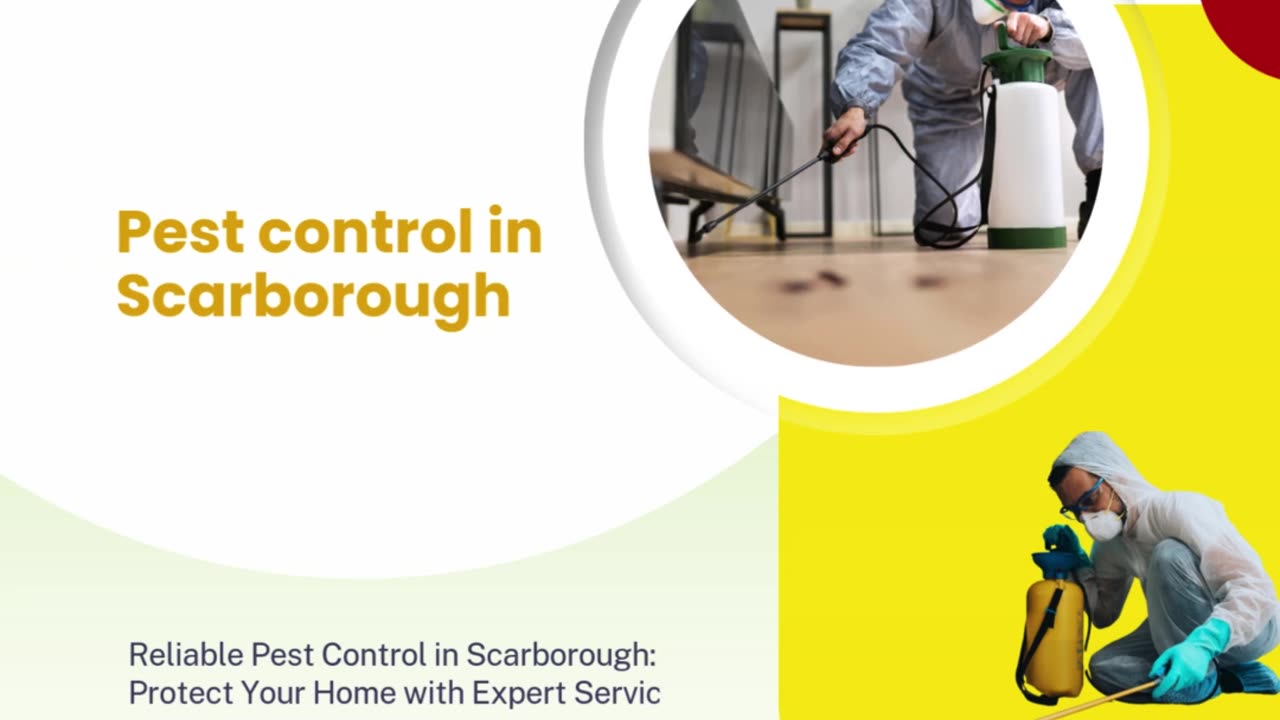 Reliable Pest Control in Scarborough: Protect Your Home with Expert Services!