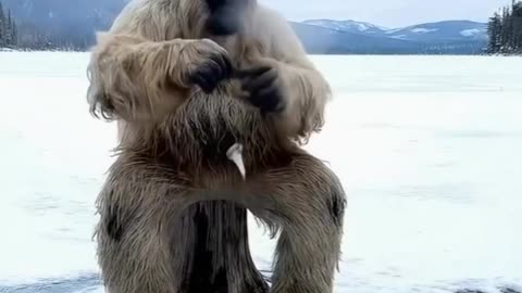 "Monkey's Snowy Mountain Adventure 🐒❄️ | Fun Winter Story for Kids"