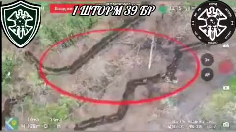 Extended Cut: Sakhalin Storm Detachment Captured New Positions