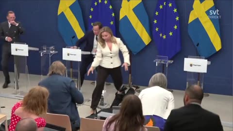 Sweden’s Health Minister Elisebeth Lann Suddenly Decided to Examine Something.....